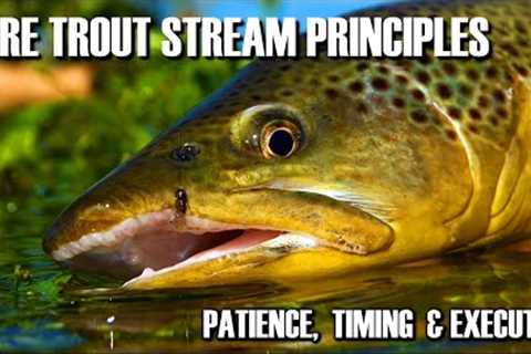 Core Principles of Trout Stream Fly Fishing Tactics: Patience, Timing &amp; Execution