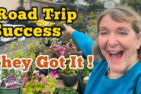 TRIP to a Garden Nursery See PRICES, Availability on Tons of Tomatoes Peppers herbs Vegetables MORE