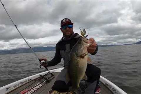 February Pre Spawn Bass Fishing (Clear Lake)