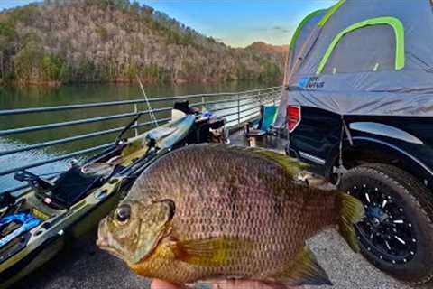 Catching JUMBO BLUEGILL Deep in the Mountains! {Catch Cook Camp}