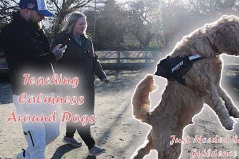 Teaching Calmness Around Dogs