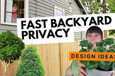 How to design instant privacy for your yard 🪴 DIY Landscape Design Strategy