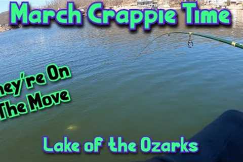 March Crappie Fishing |  Lake of the Ozarks