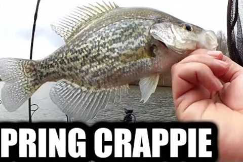 Fishing For Crappie, Bass, and Trout All in ONE LAKE! (Early Spring)