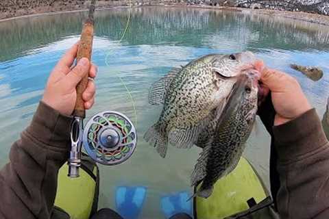 Surprise CRAPPIE Catch &amp; Cook!! (Fly Fishing)