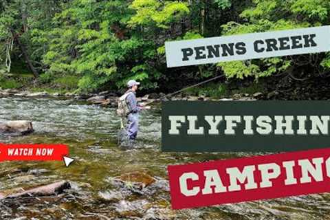 Penns Creek | A Pennsylvania Portrait of Wild Browns| Camping &amp; Fly Fishing