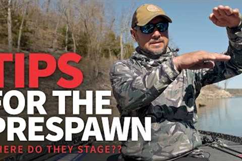 WHERE do they STAGE? (Pre-spawn Bass Fishing TIPS)