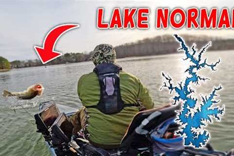 When it's COLD, Go Fish SHALLOW! (Lake Norman)