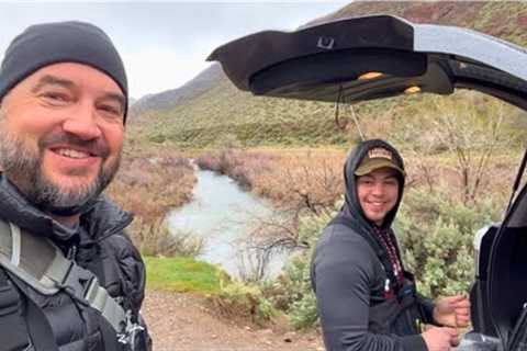 We Caught at Least 50 Brown Trout!! (Fly Fishing Small Streams)