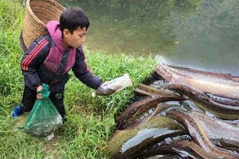 Herring trapping skills, orphan boy khai makes fish traps from plastic bottles harvests fish to sell