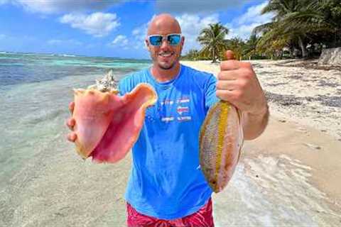 Catch n' Cook on a Caribbean Beach - Conch and Snapper!