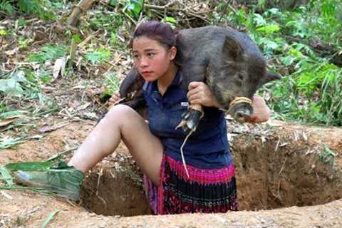 Wild boar attacks girl, digs wild boar traps, builds shelter, survival skills