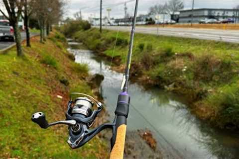 Tiny Urban Creek Fishing AGAIN!!