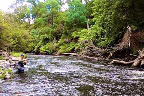 Fly Fishing Melbourne's Yarra River