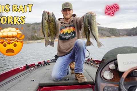 Smallmouth fishing on Norris Lake March 9, 2024.