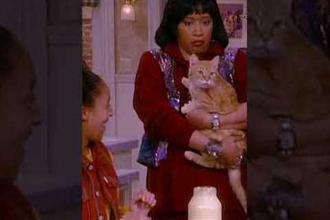 Didn't you hear that purr? | Sister, Sister