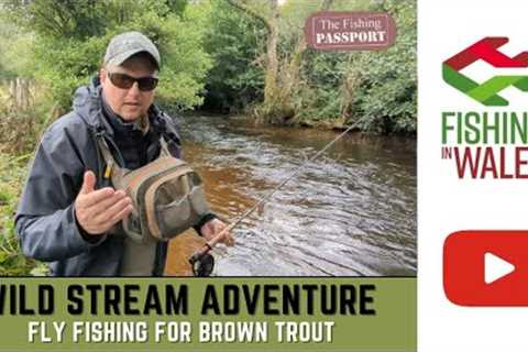 Wild Stream Adventure - FLY FISHING In the Brecon Beacons WALES for WILD BROWN TROUT