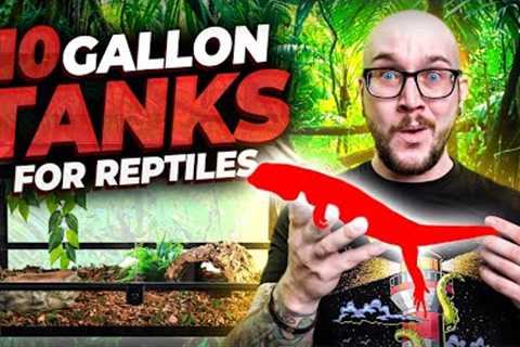 Top 5 Reptiles That Can Live In A Ten Gallon Enclosure FOREVER!