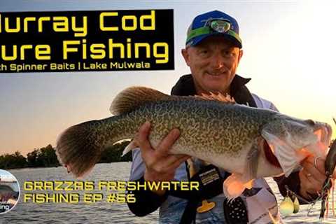 Murray Cod Lure Fishing | Lake Mulwala