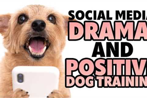 Dog Training Community And Controversy: Can We Draw From Our Positive Reinforcement Values? #265