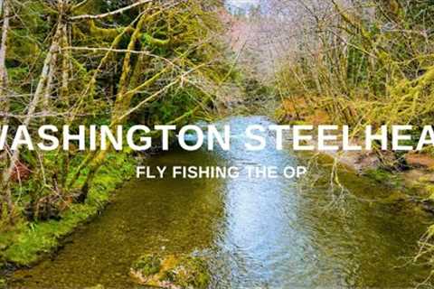 From Dreams to Reality (Fly Fishing for Steelhead)