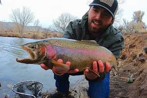 ABSURD Action for GIANT Rainbow Trout!!! (Fly Fishing)