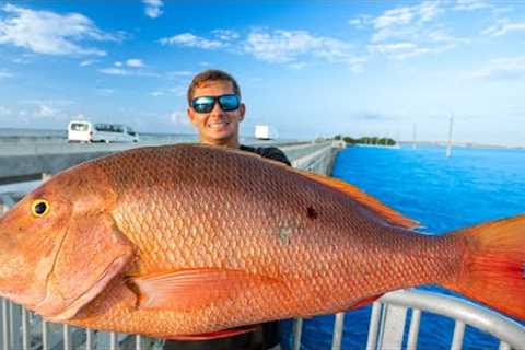 Most EXPENSIVE Fish Caught off Pier! Catch Clean Cook (Florida Keys Bridge Fishing)