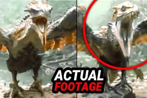 NEW Trail Cam Evidence You MUST See Now