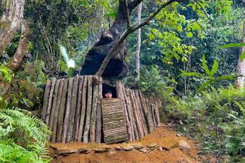 Meet wild monkey. Build a Secret Survival Shelter under a large tree, Foraging Wild Food, Cooking