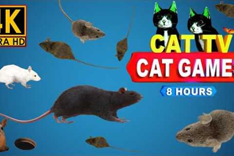 Cat Games - Realistic Mouse Games for Cats - Mouse Hide &amp; seek and play on Screen - 8 Hour 4k..