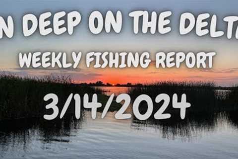 The In Deep On The Delta Weekly Fishing Report For 3/14/2024.