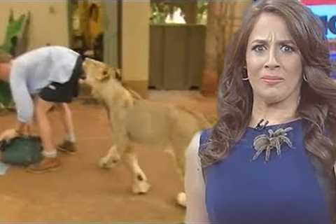 Best Animal News Bloopers Compilation 2022
