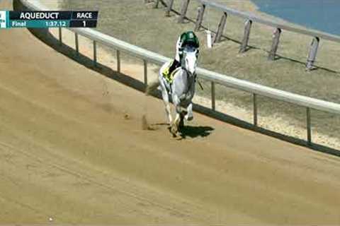 Horse Racing: Todd Pletcher's Quiet Wisdom Wins Race 1 At Aqueduct. Full Race Thurs. Mar 14, 2024.