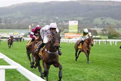 GOLDEN ACE serves up an upset in Mares' Novice Hurdle