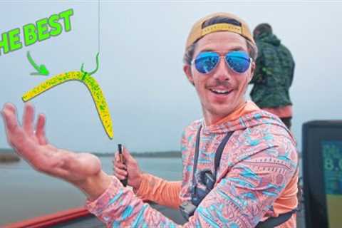 THIS Is The Best Spring Bass Fishing Lure