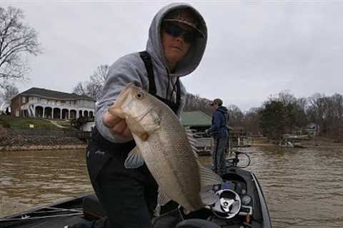 CRANK BAIT FISHING ON LAKE NORMAN!! || EARLY PRESPAWN FISHING