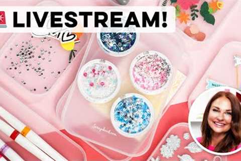300K Subscriber Celebration + GIVEAWAYS! Use THESE to ORGANIZE Your Craft Projects! | Scrapbook.com