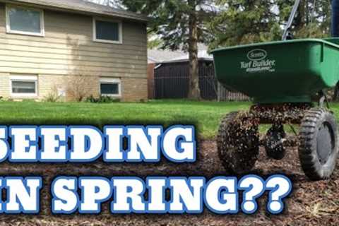 Seed your Lawn in the Spring?? Watch this FIRST!! // Do this...Don't do that!!
