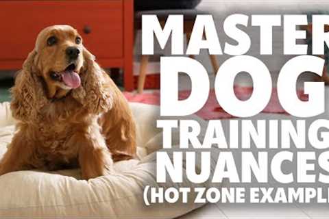 Hot Zone And Stays - How One Dog Training Nuance Can Fix Anxiety And Duration #266 #podcast