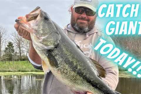 Lake Fork spring Bass fishing 2024: How to catch a giant today at the goat lake!!!