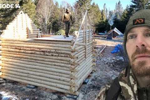 Winter Log Cabin Build on Off-Grid Homestead |EP14|