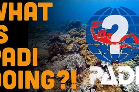 PADI's latest Crazy Dive Industry Policy... Analyzed