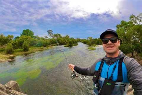 Fly Fishing The Goulburn River