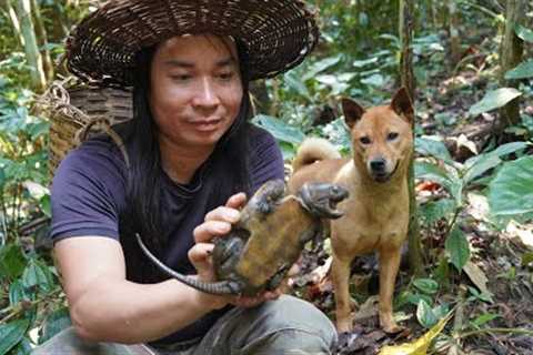 Wild Foraging, Weaving Bamboo Baskets, River Survival Shelters | EP.336