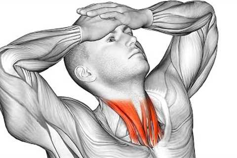The 15 Most Effective Exercises for Neck Pain Relief