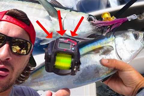 This Reel shows us how to catch tuna {Catch &amp; Cook}