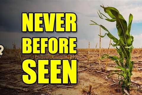 The Coming Food Crisis No One is Discussing