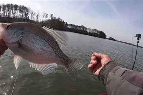 How To Catch Crappie on Brush Using Jigs &amp; Minnows