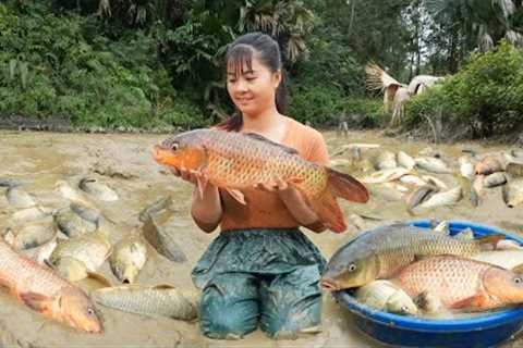Harvesting A Lot Of Fish At Mud Pond Goes to market sell - Cooking fish | Free Bushcraft