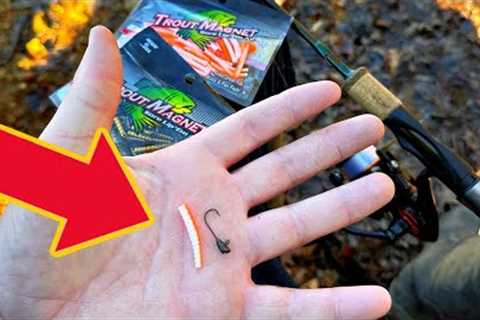 This LITTLE Lure Makes a HUGE Difference